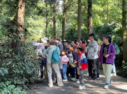 亚洲博彩平台排名