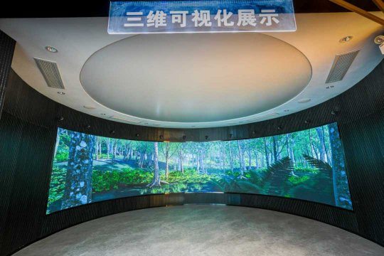 广东省林草湿虚拟仿真与三维可视化平台。通讯员供图