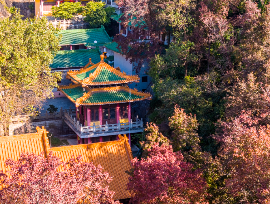 亚洲博彩平台排名