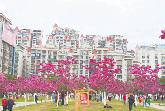 亚洲博彩平台排名