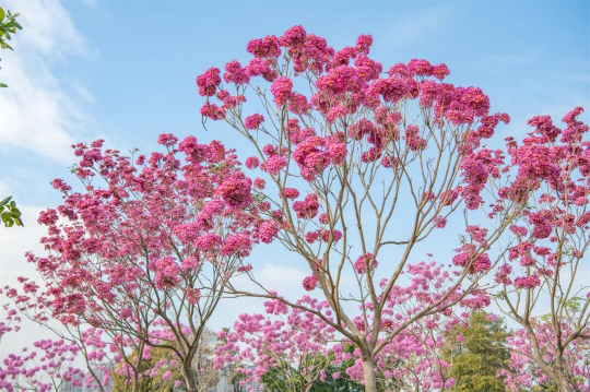 亚洲博彩平台排名