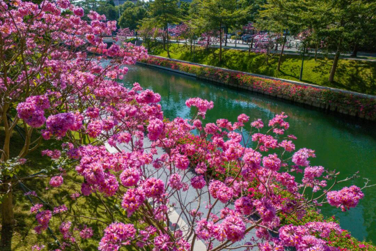 亚洲博彩平台排名