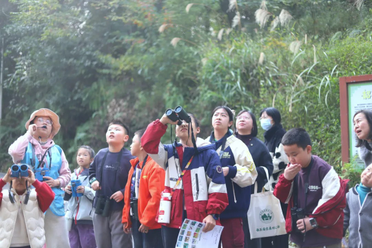 亚洲博彩平台排名