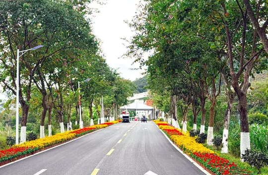 亚洲博彩平台排名