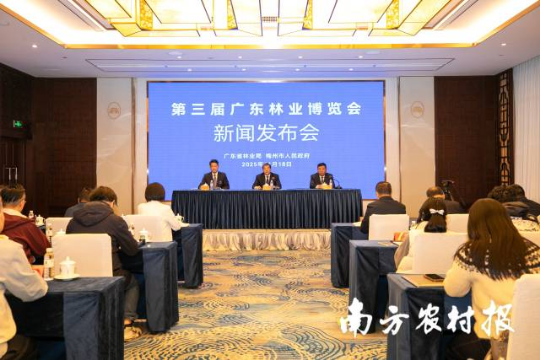 新闻发布会现场。 新闻发布会现场。
