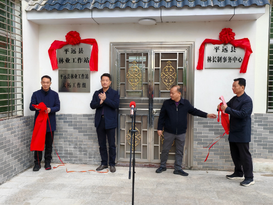 亚洲博彩平台排名