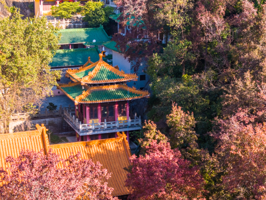 亚洲博彩平台排名