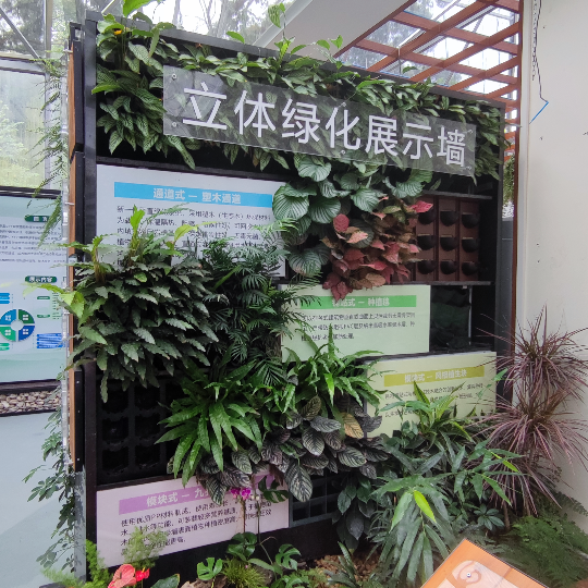 亚洲博彩平台排名
