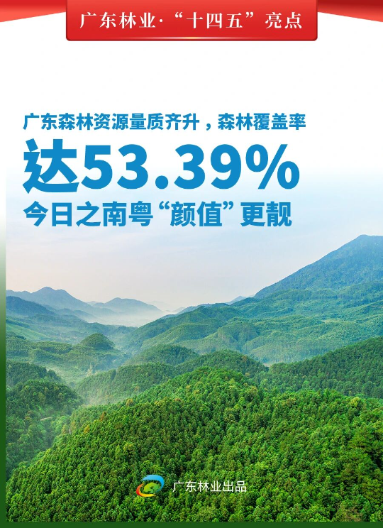 亚洲博彩平台排名