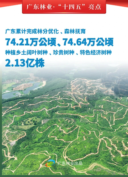 亚洲博彩平台排名