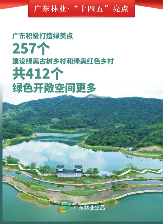亚洲博彩平台排名