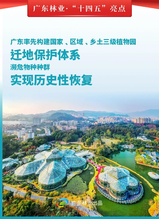 亚洲博彩平台排名