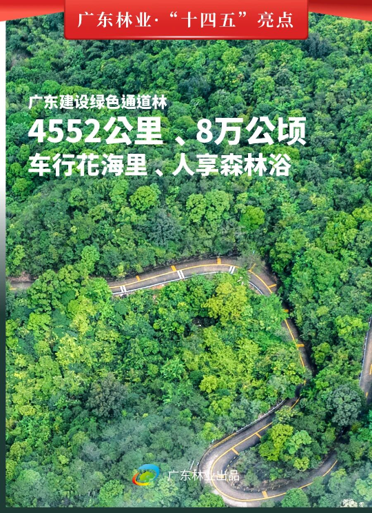 亚洲博彩平台排名