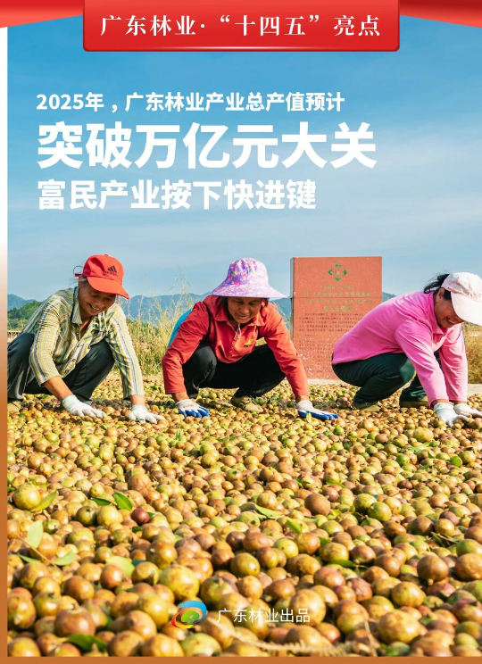 亚洲博彩平台排名