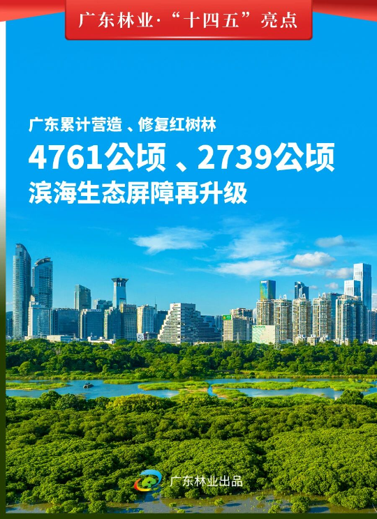 亚洲博彩平台排名