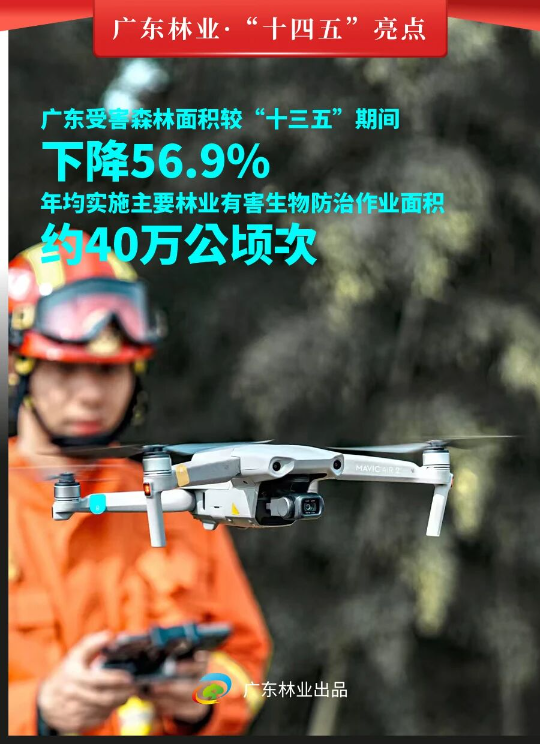 亚洲博彩平台排名