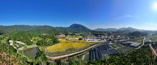 亚洲博彩平台排名
