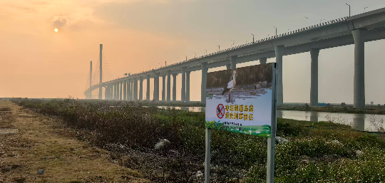亚洲博彩平台排名