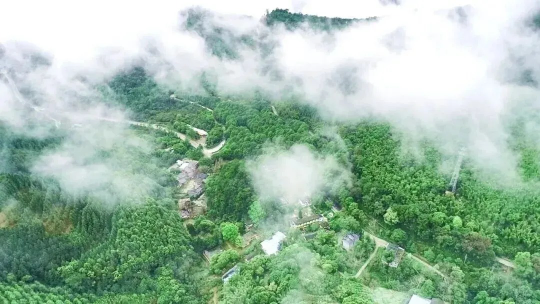 亚洲博彩平台排名