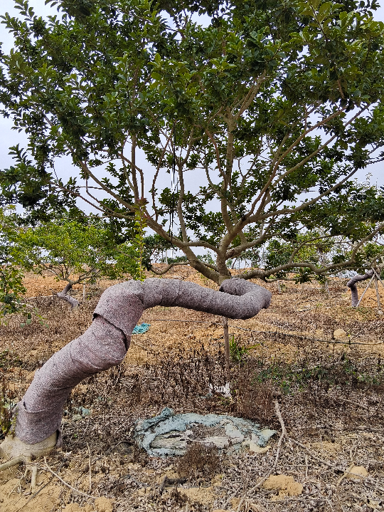 亚洲博彩平台排名