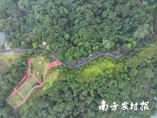亚洲博彩平台排名