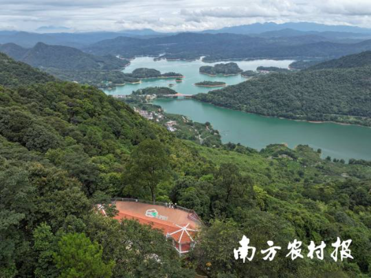亚洲博彩平台排名