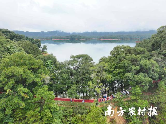 亚洲博彩平台排名