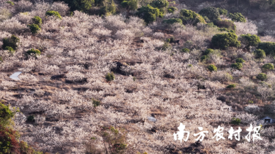 亚洲博彩平台排名