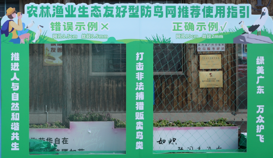 亚洲博彩平台排名