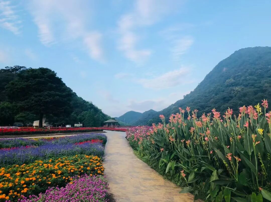 亚洲博彩平台排名