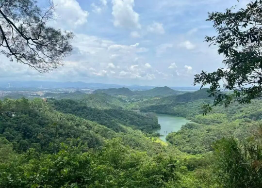 亚洲博彩平台排名