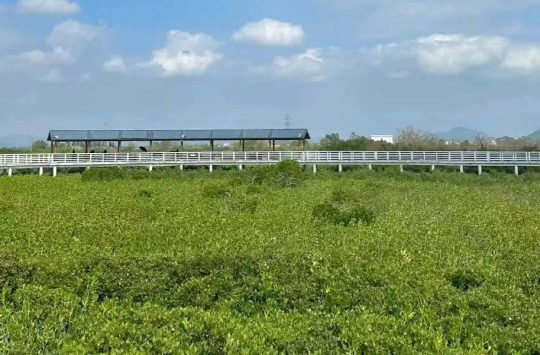 亚洲博彩平台排名