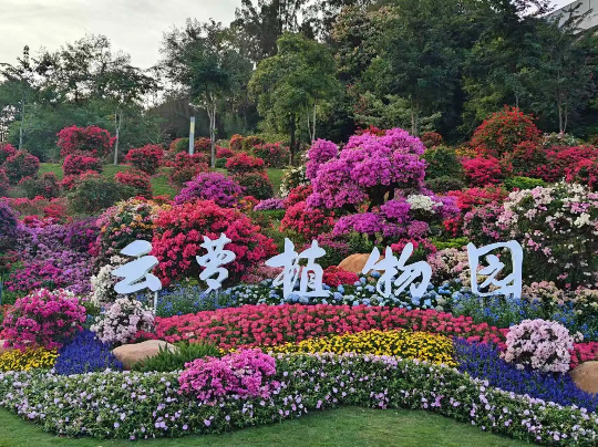 亚洲博彩平台排名