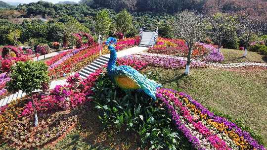 亚洲博彩平台排名