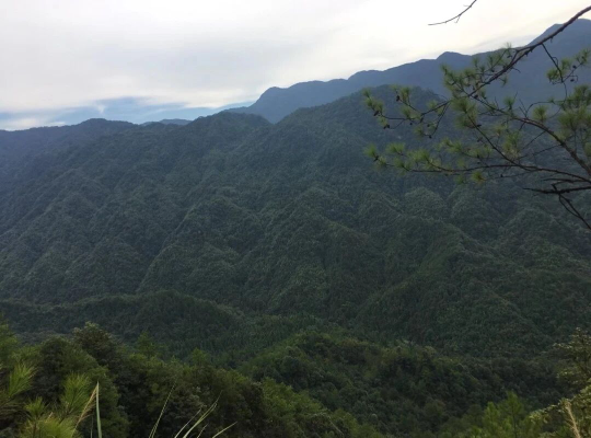 亚洲博彩平台排名