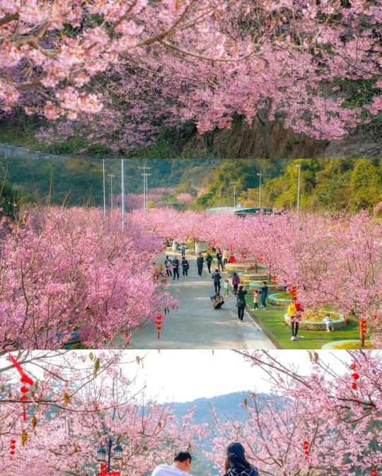 亚洲博彩平台排名