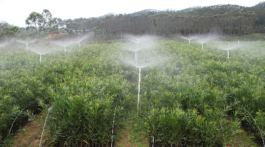 亚洲博彩平台排名