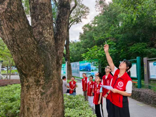 陈小玲带领孩子们在讲解古树知识 陈小玲带领孩子们在讲解古树知识
