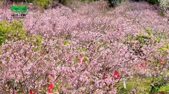 亚洲博彩平台排名