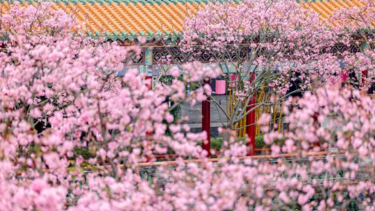 亚洲博彩平台排名