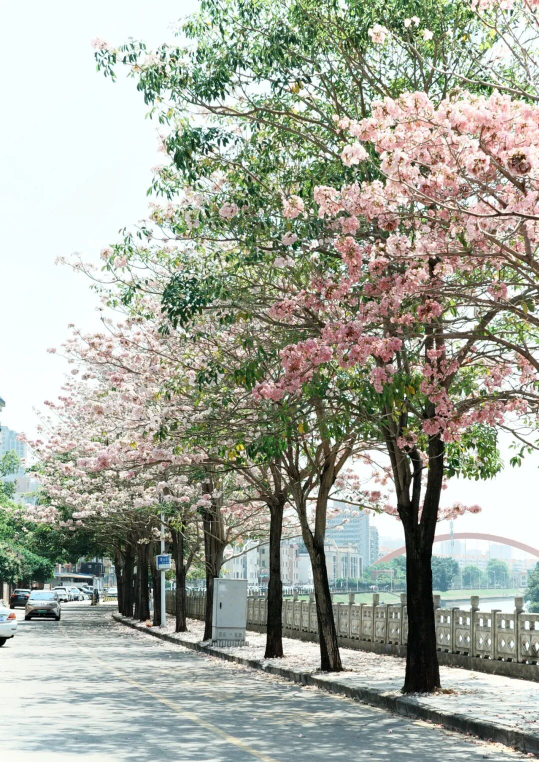 亚洲博彩平台排名