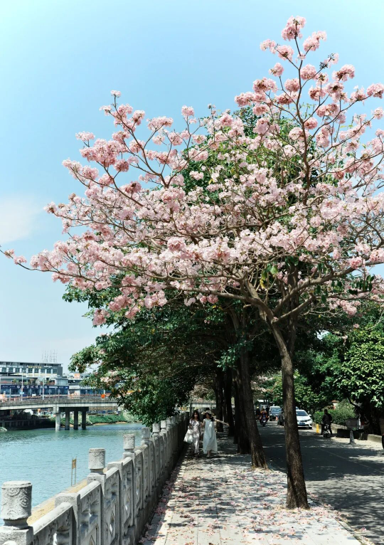 亚洲博彩平台排名