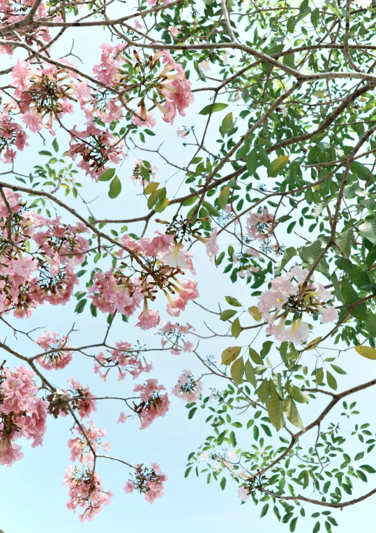 亚洲博彩平台排名