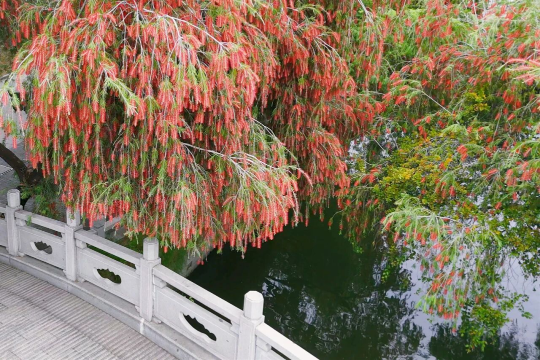 亚洲博彩平台排名