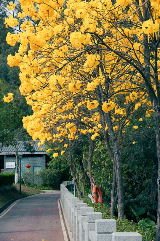 亚洲博彩平台排名
