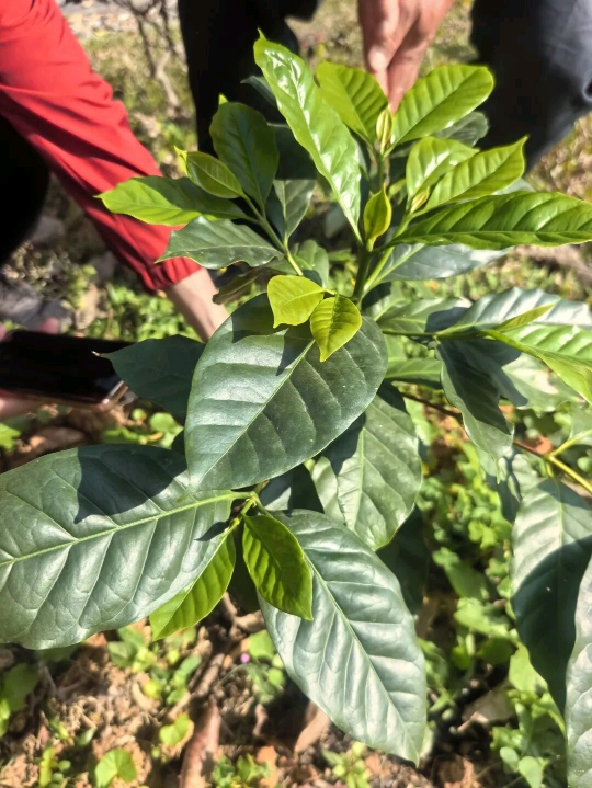 亚洲博彩平台排名