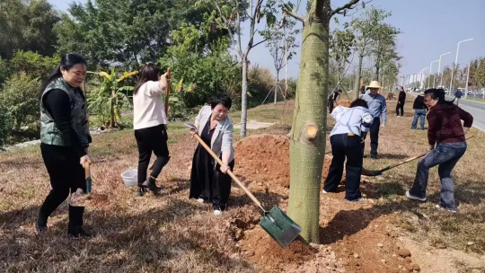 亚洲博彩平台排名