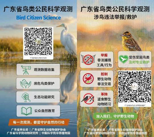 亚洲博彩平台排名