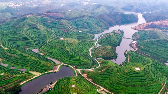 亚洲博彩平台排名