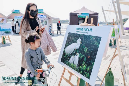 现场展出 现场展出